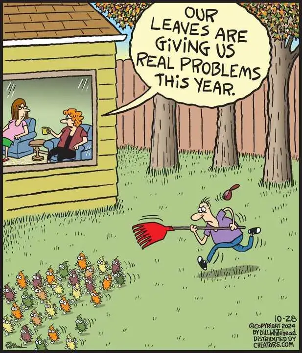 Free Range for Oct 28, 2024