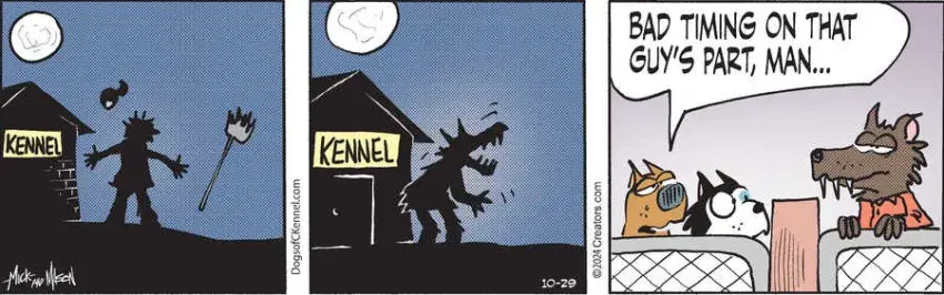 Dogs of C-Kennel for Oct 29, 2024