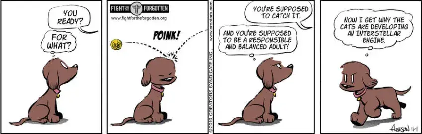 Dog Eat Doug for Nov 01, 2024