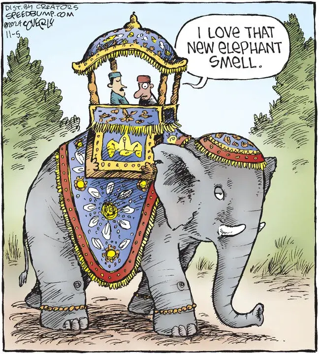 Speed Bump for Nov 05, 2024