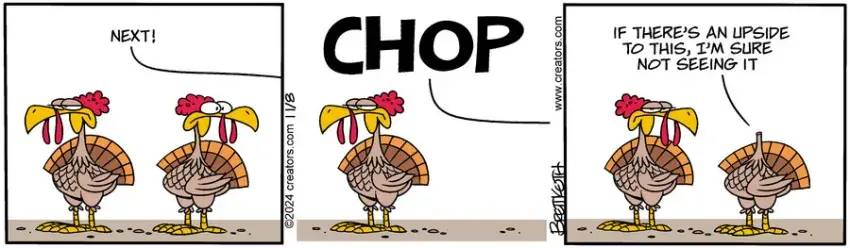 Diamond Lil for Nov 08, 2024