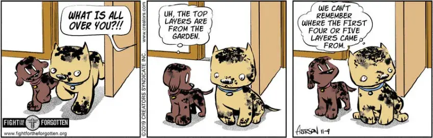 Dog Eat Doug for Nov 09, 2024