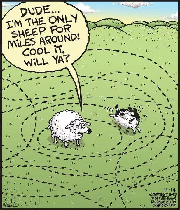 Free Range for Nov 14, 2023