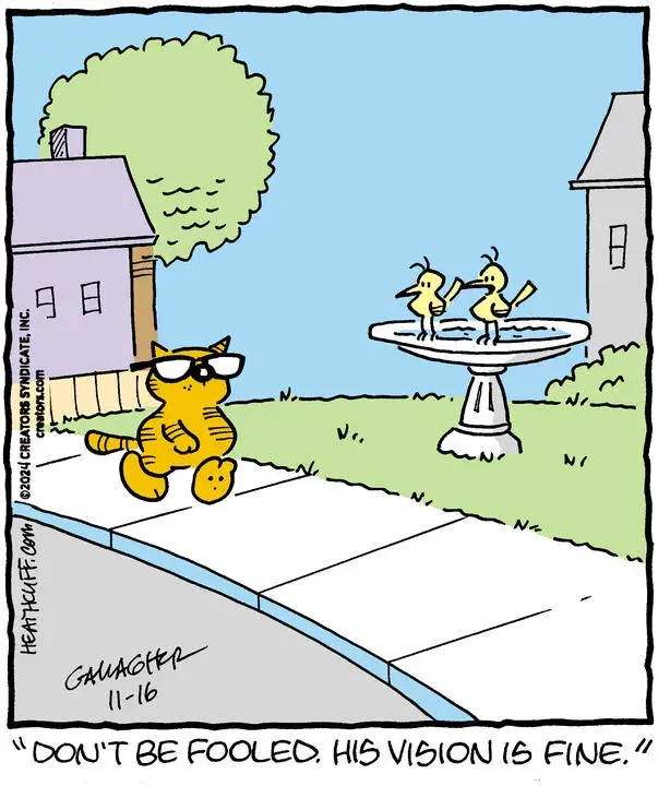 Heathcliff for Nov 16, 2024