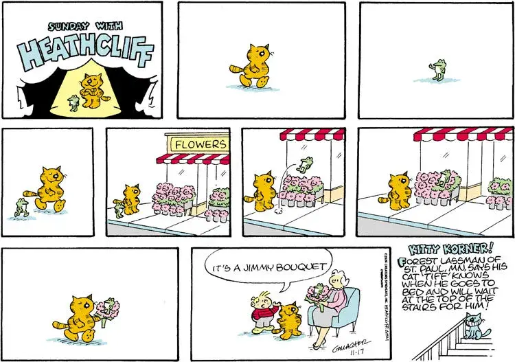 Heathcliff for Nov 17, 2024