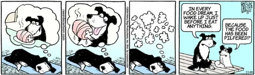 The Other Coast for Nov 20, 2024