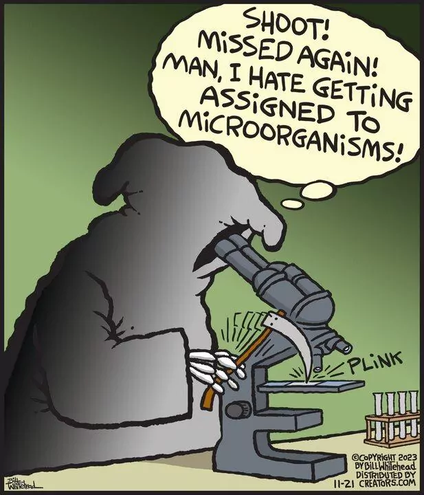 Free Range for Nov 21, 2023