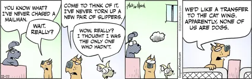 Dogs of C-Kennel for Nov 22, 2024