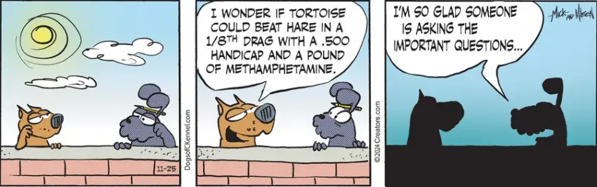 Dogs of C-Kennel for Nov 25, 2024