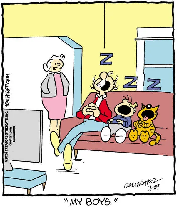 Heathcliff for Nov 29, 2024