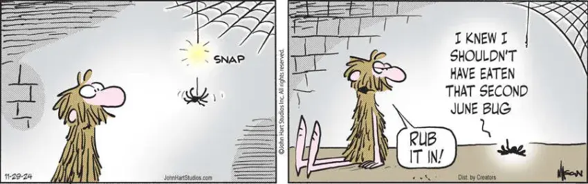 Wizard of Id for Nov 29, 2024