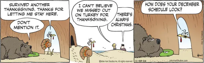 B.C. for Nov 29, 2024