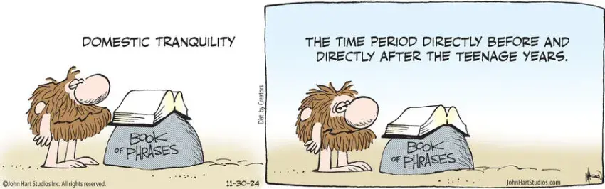 B.C. for Nov 30, 2024