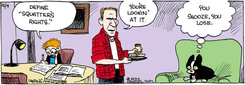 Zack Hill for Dec 04, 2024