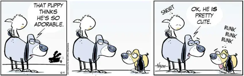 The Barn for Dec 09, 2024