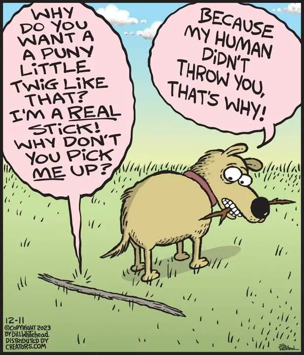 Free Range for Dec 11, 2023