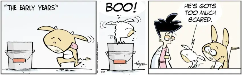 The Barn for Dec 13, 2024