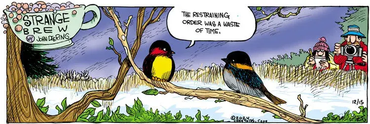 Strange Brew for Dec 15, 2024