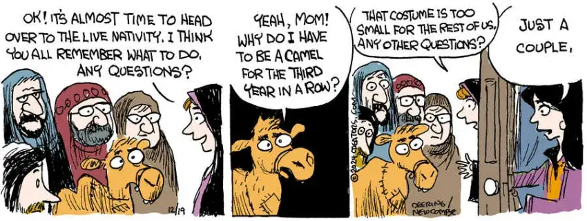 Zack Hill for Dec 19, 2024