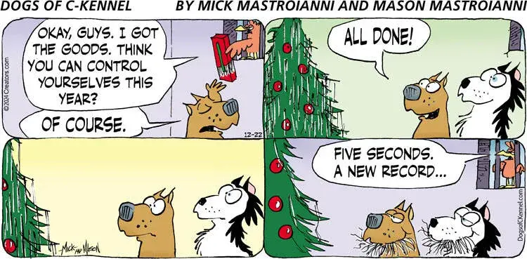 Dogs of C-Kennel for Dec 22, 2024