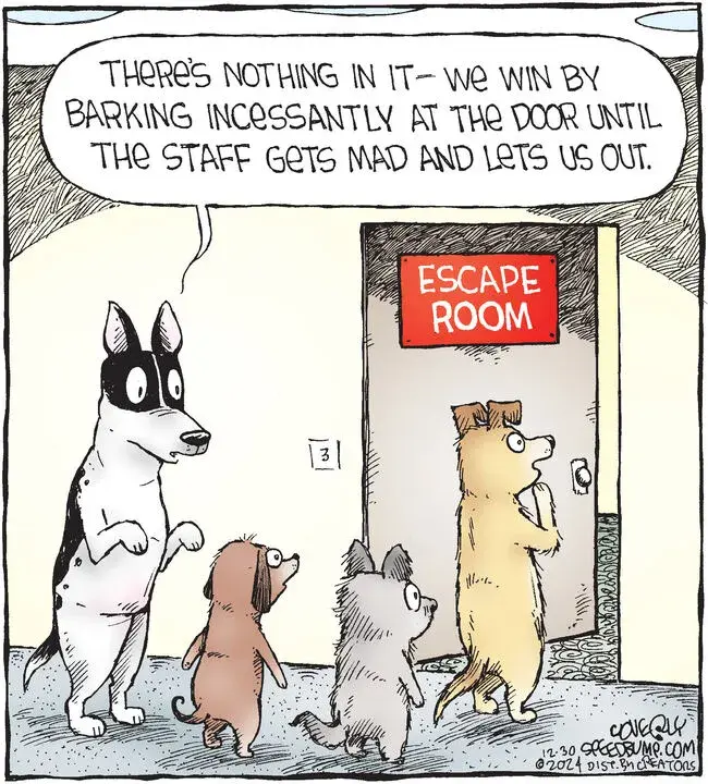 Speed Bump for Dec 30, 2024